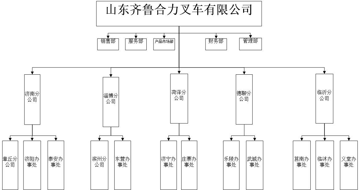 齐鲁9001cc金沙以诚为本组织机构图.jpg